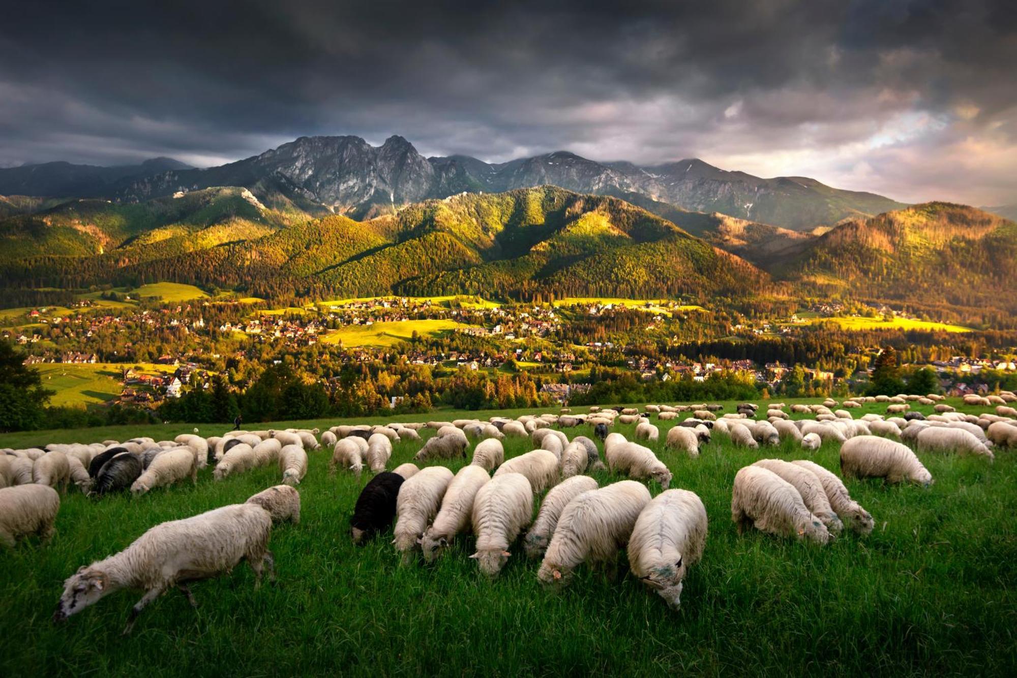 Gorska Osada Luxury Chalets Zakopane Poronin Εξωτερικό φωτογραφία